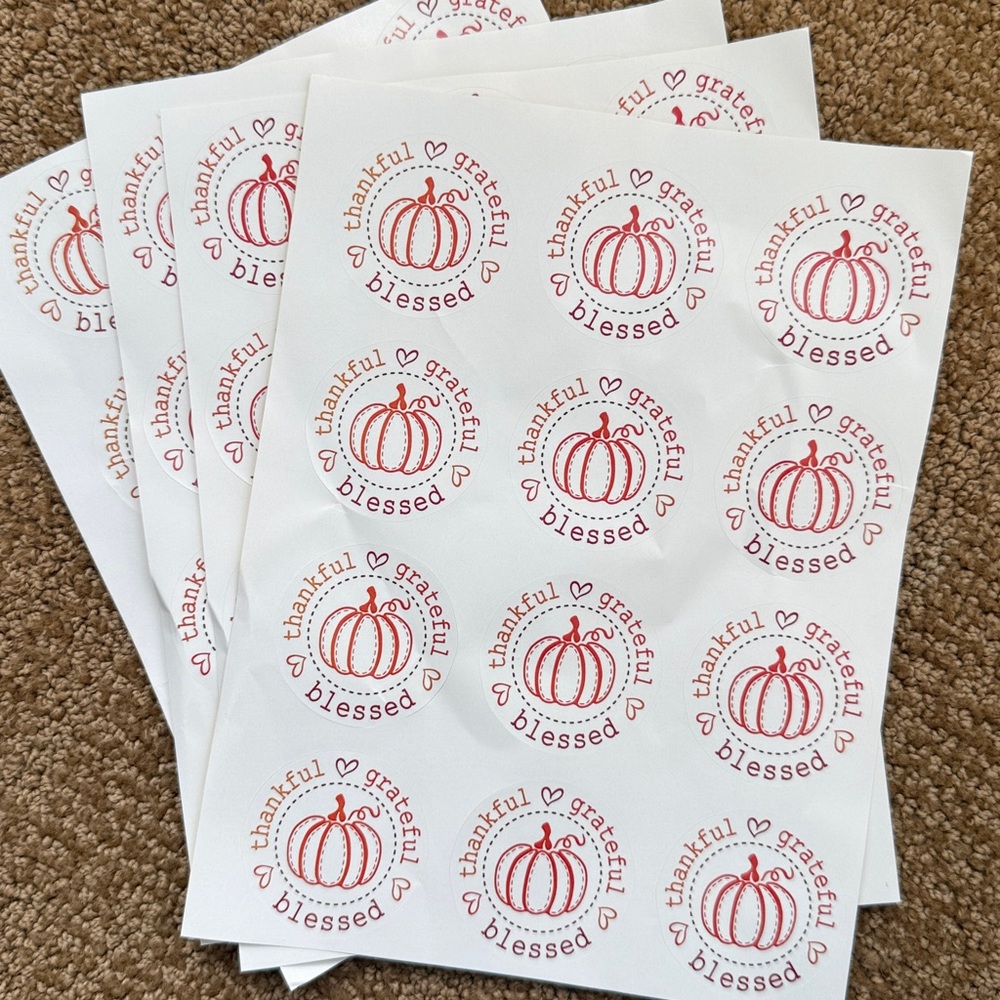 New {set of 24} Thankful grateful blessed pretty aesthetic stickers. 2.5”